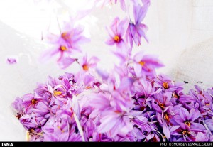 =_UTF-8_B_aGVtbWF0IGtoYWhpICg5IG9mIDIwKS05LmpwZw==_=